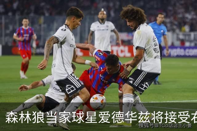 森林狼当家球星爱德华兹将接受右膝关节镜手术，预计伤停两个月，会对他的职业生涯有多大影响？球队阵容会如何调整？