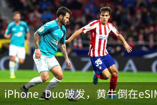 iPhone Duo破发，黄牛倒在eSIM